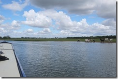 Port Meadow / Wolvercote