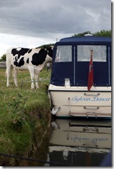 Lechlade Public Moo-rings