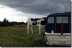 Lechlade Public Moo-rings