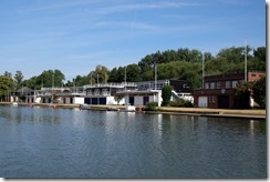 College Rowing Clubs