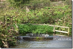 River Dunn dives under the canal.