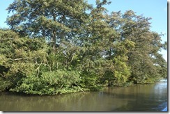 What happened to Autumn?