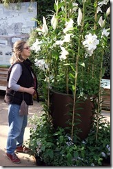 Take me to your leader...