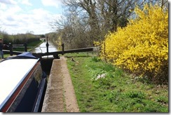 Bright Sunshiny Day.