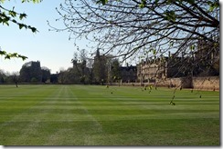 Christchurch Meadows