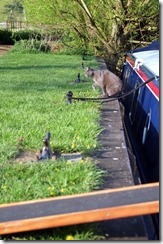 Now where's that pesky parking attendant...