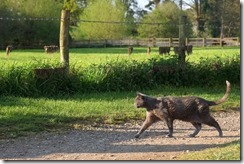 ... time to see him off.