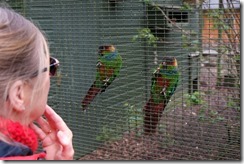 Wonder which one's the Norwegian  Blue...