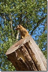 And Aleksander is on guard duty...