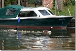 Getting one's ducks in a row...