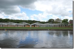 Getting ready for the Henley Regatta