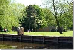 Biggles' new scratching post