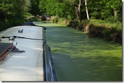 Woodend Lock #1 and Duck Weed
