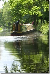 Rowan testing the bushes