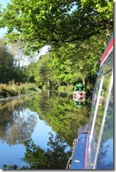 Bright morning in Brookwood