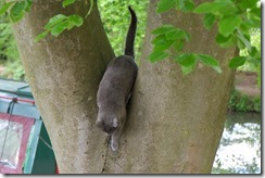 The Captain returns from exploration