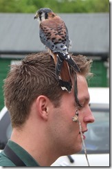 That apprehensive feeling...