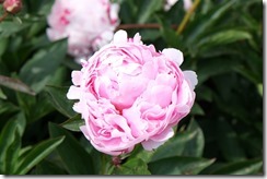 Dunsborough Park Gardens