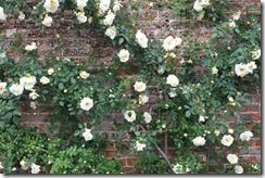 Dunsborough Park Gardens