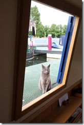 Pre-cruise inspection