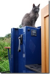 The Captain takes control