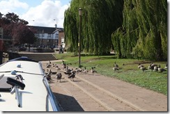 Peterborough Town Key and Embankment
