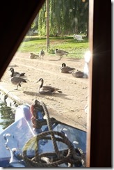 Peterborough Town Key and Embankment