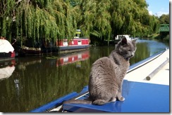 March Visitor Mooring