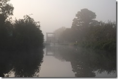 Misty Moisty Morning