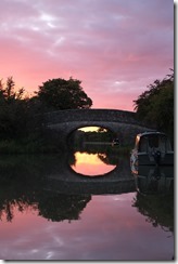 Shepherd's Pie for Tea
