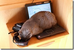 Flight planning over