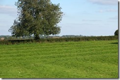 Welford Ridge & Furrow