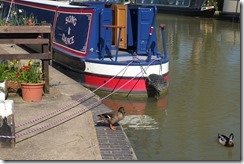 Thrupp Canal Cruising Club