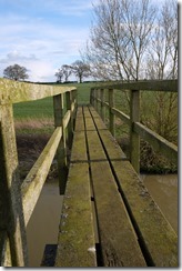 Ladder Bridge (129)