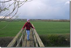 Ladder Bridge & Napton