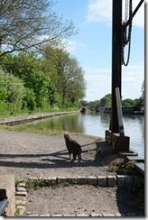 Aqueduct, Wootton Wawen Basin