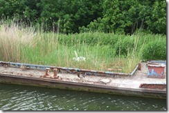 G&S Canal: Abandoned Barge