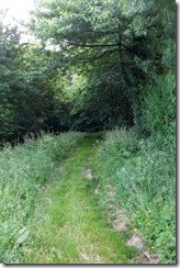 Path to Frampton