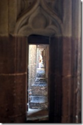 Worcester Cathedral: Cloister