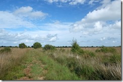 Whixall Moss