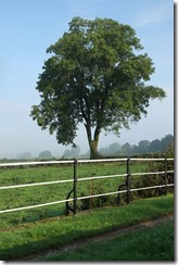 Ramsdell Visitor Moorings