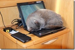 Tired after his exploration