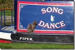 Needs a wash & polish