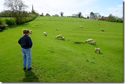 Braunston - church field